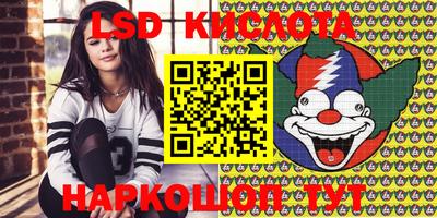 PSILOCYBIN Заводоуковск