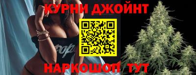 PSILOCYBIN Заводоуковск