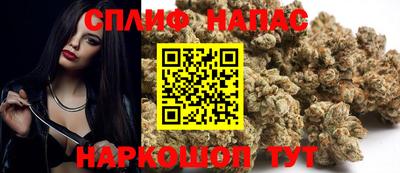 PSILOCYBIN Заводоуковск