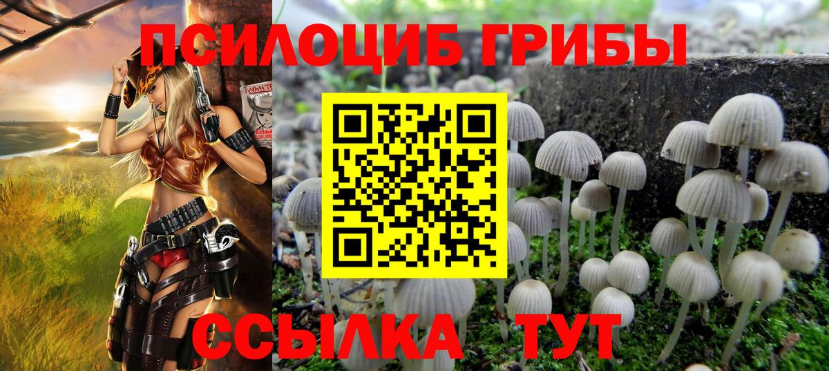 Вятские Поляны  Галлюциногенные грибы Psilocybine cubensis  Вход с VPN 